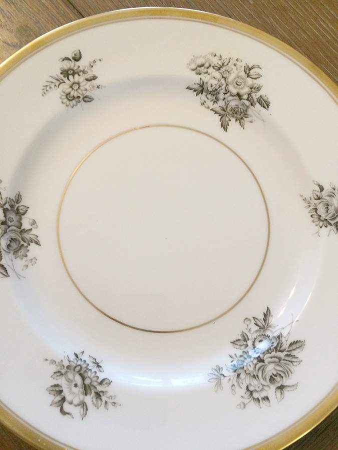 Y7624 Dinner Plate by Spode-1