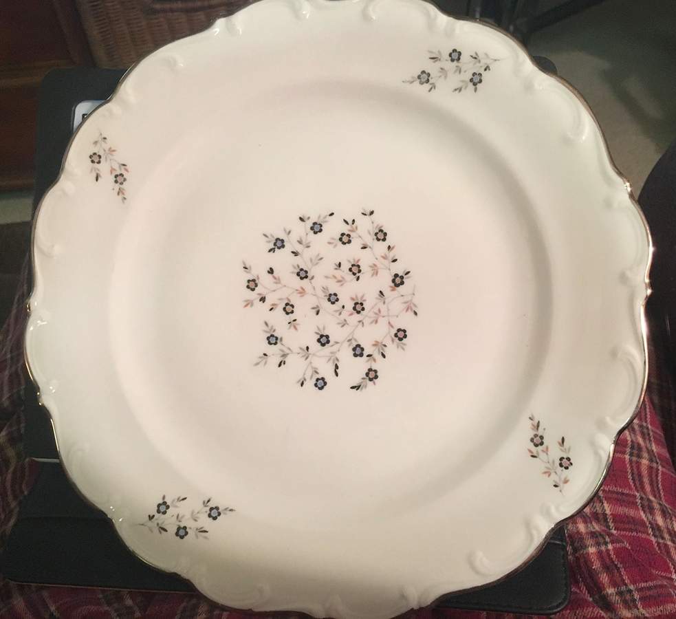SCH801 Dinner Plate by Schumann - Bavaria-1
