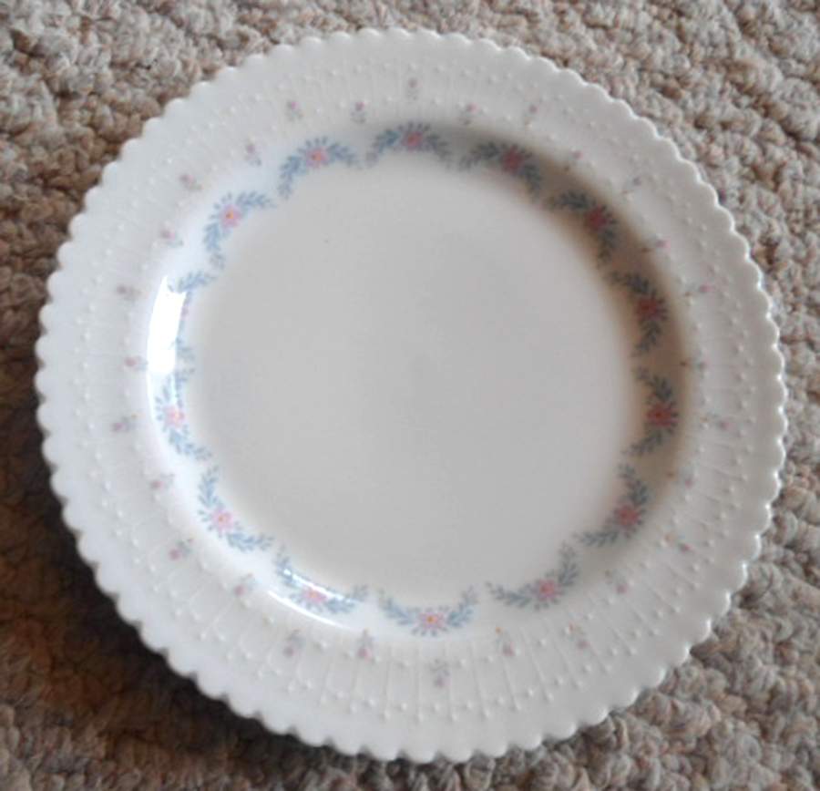 SCR181 Dinner Plate by Scherzer-1