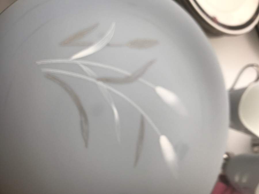 Autumn Breeze Dinner Plate by Seyei Toki Co-1