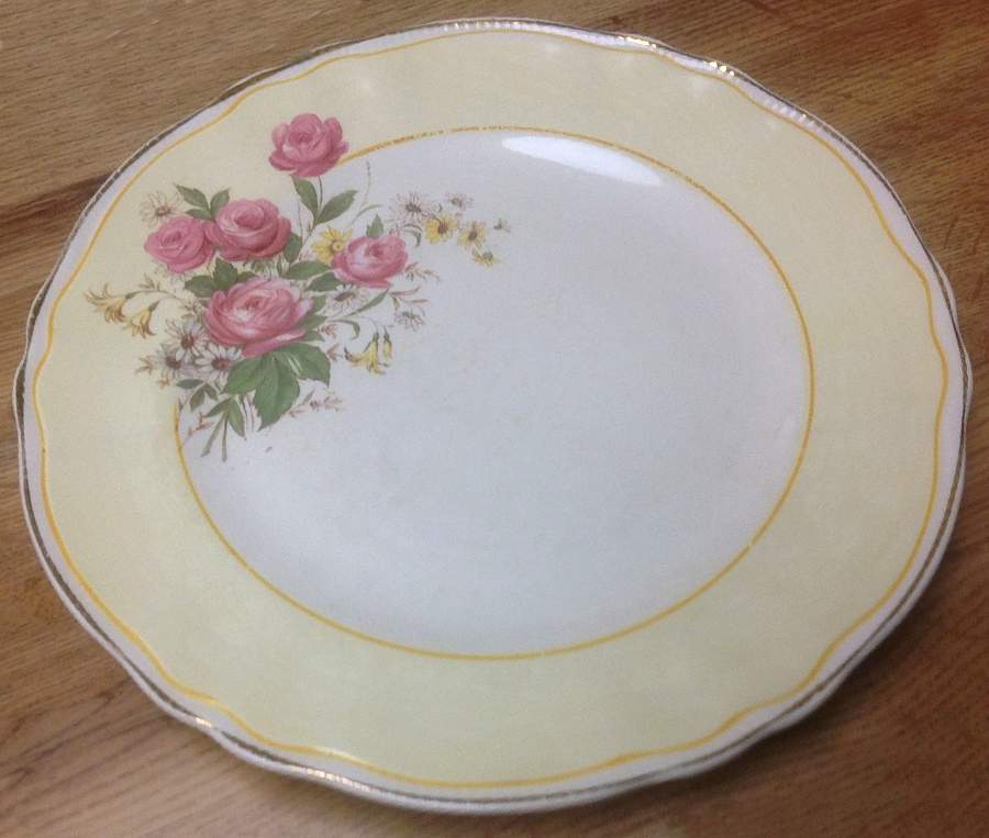 856-45 Dinner Plate by Sovereign Potters-1