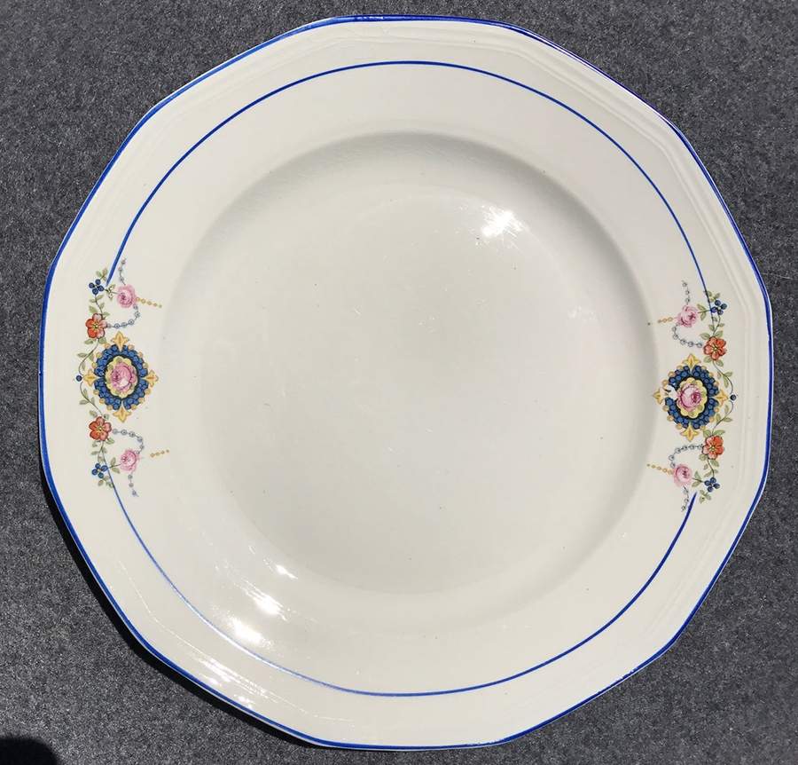 SLM438 Dinner Plate by Salem-1