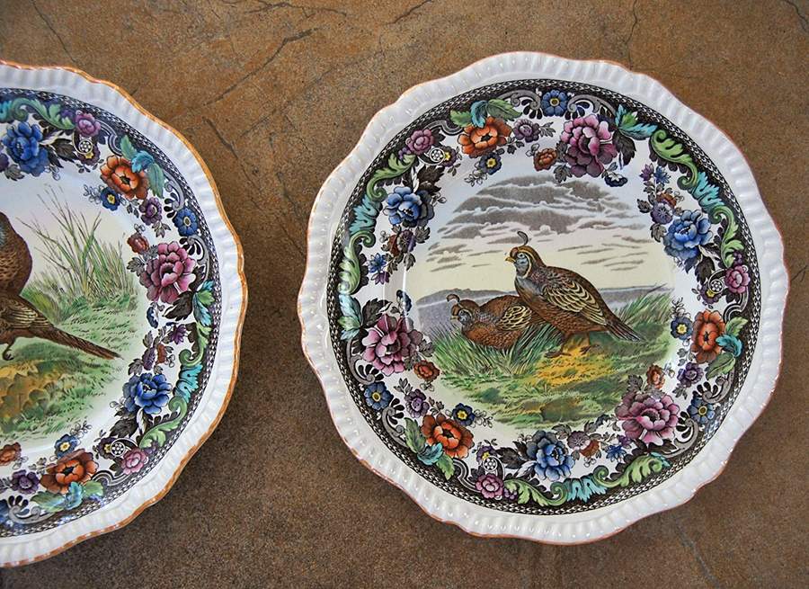 S13585 Dinner Plate by Spode-1