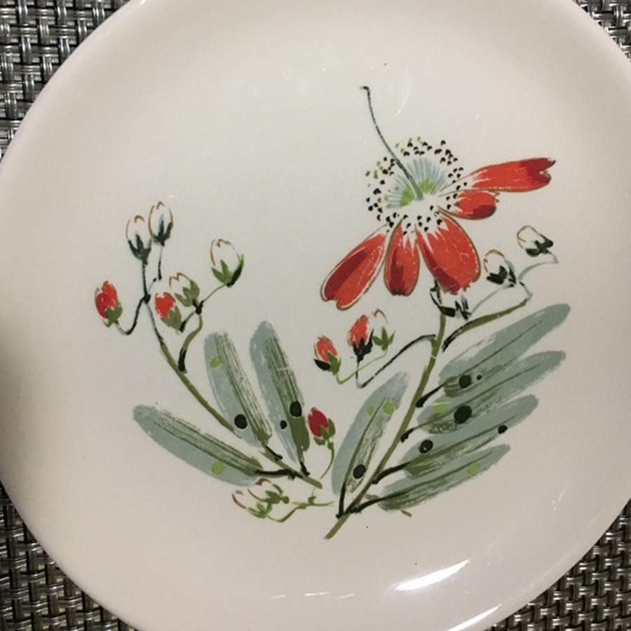 SLM441 Salad Plate by Salem-1