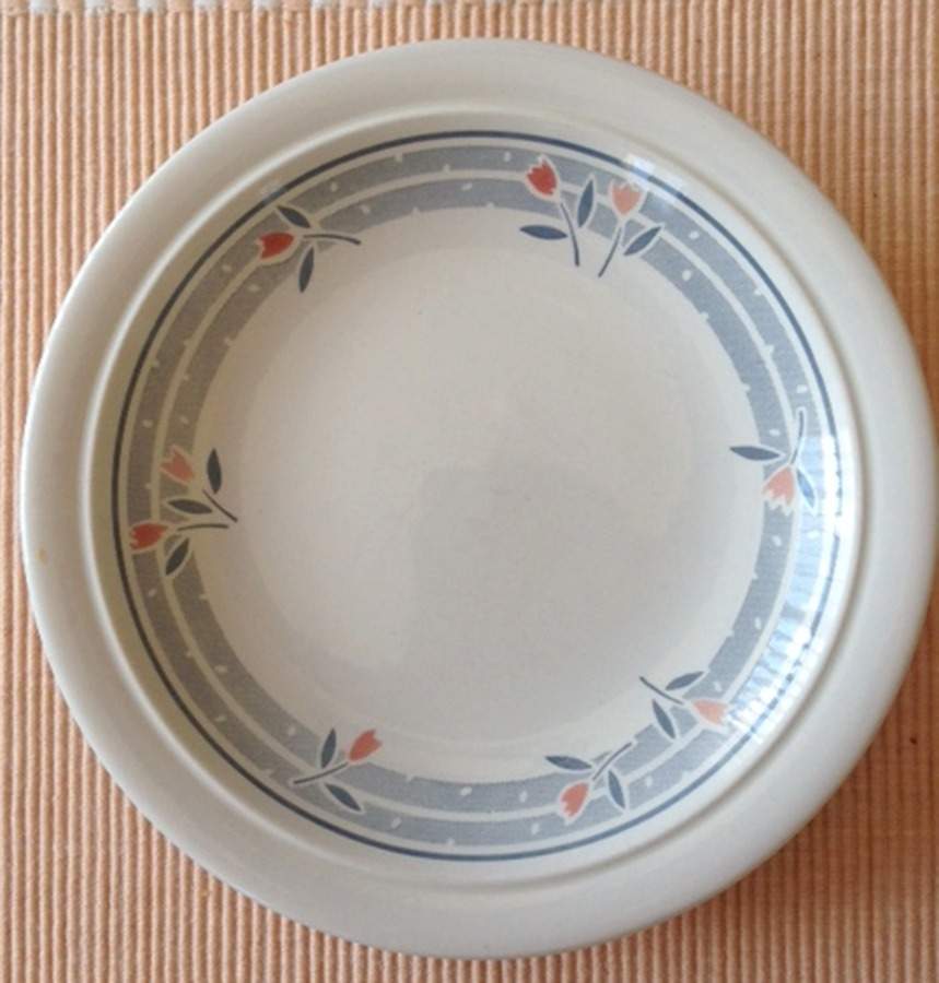 SPD15 Dinner Plate by Staffordshire Pottery-1
