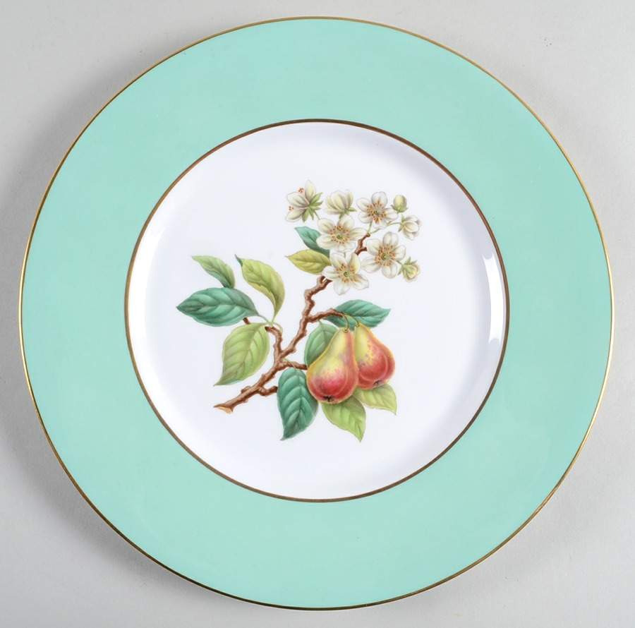 Y6238 Dinner Plate by Spode-1