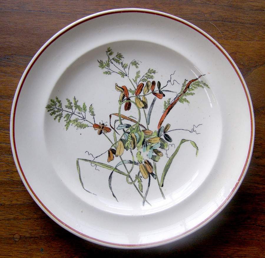 2-854 (Smooth) Dinner Plate by Spode-1
