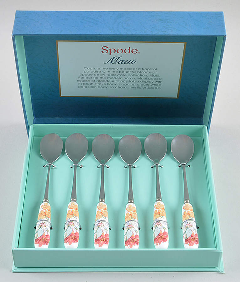 Maui Teaspoon - Set of 6 Boxed by Spode-1