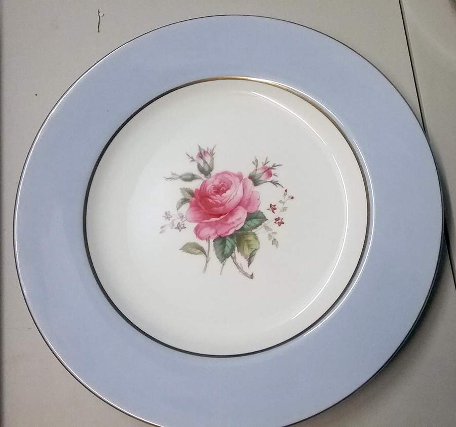 Y4049 Dinner Plate by Spode-1