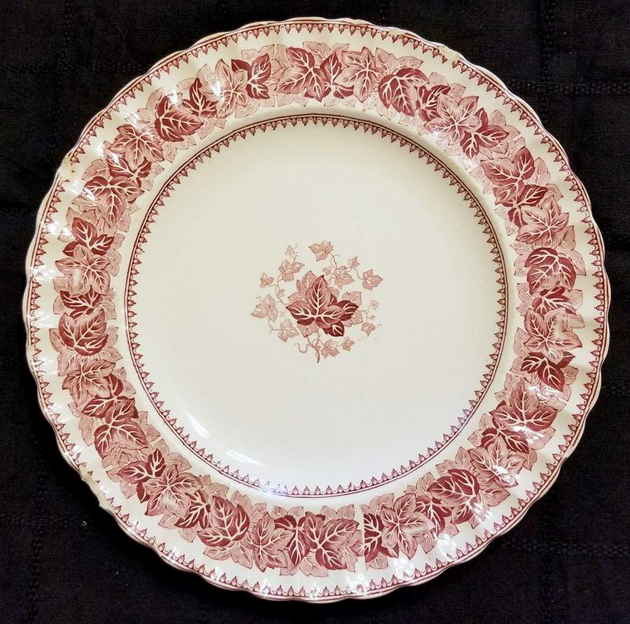 Ivy Dinner Plate by Spode-1