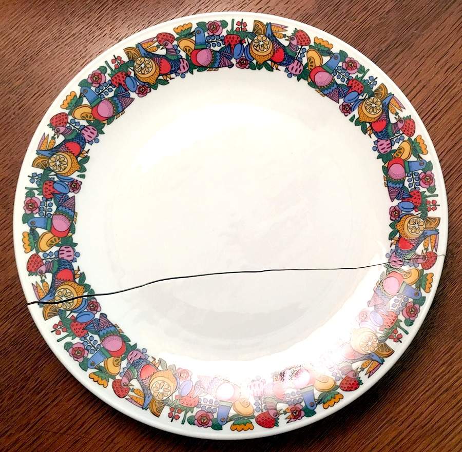 SLT533 Dinner Plate by Seltmann-1