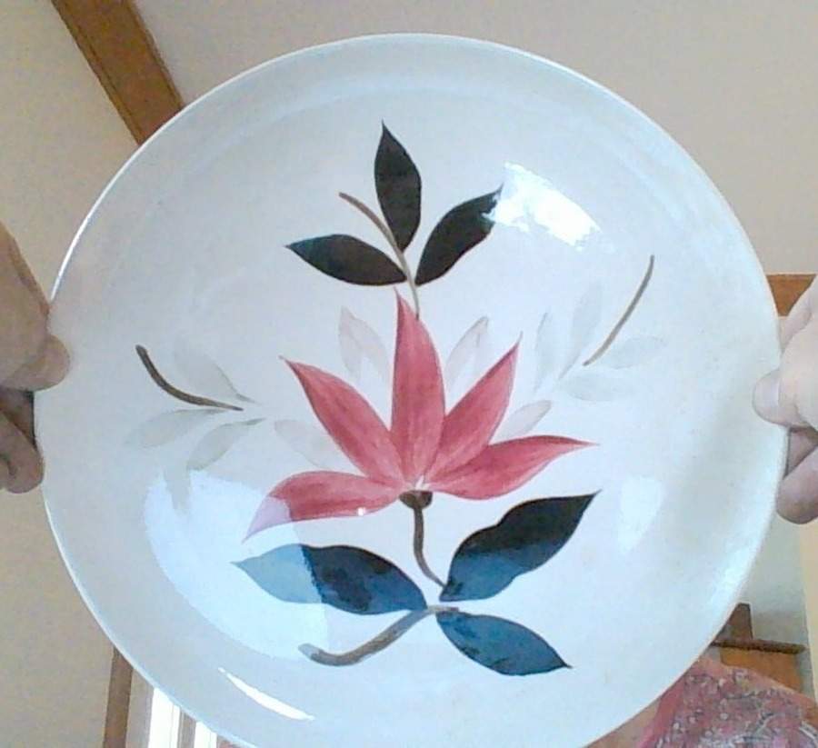 STT465 Dinner Plate by Stetson-1