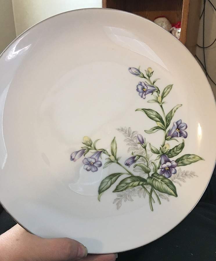 SON144 Dinner Plate by Sone-1