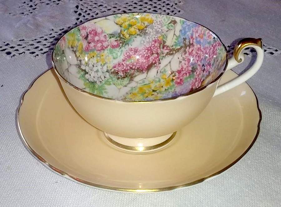 Rock Garden (Peach, Gold Trim) Footed Cup & Saucer Set by Shelley-1