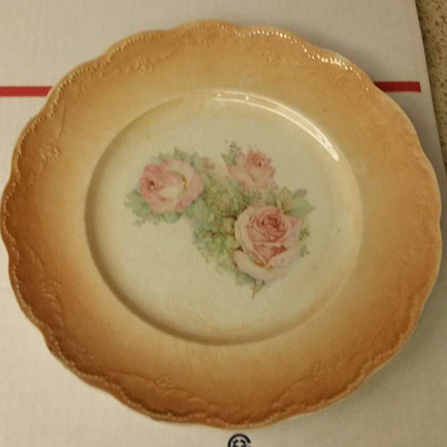SPY7 Dinner Plate by Standard Pottery-1