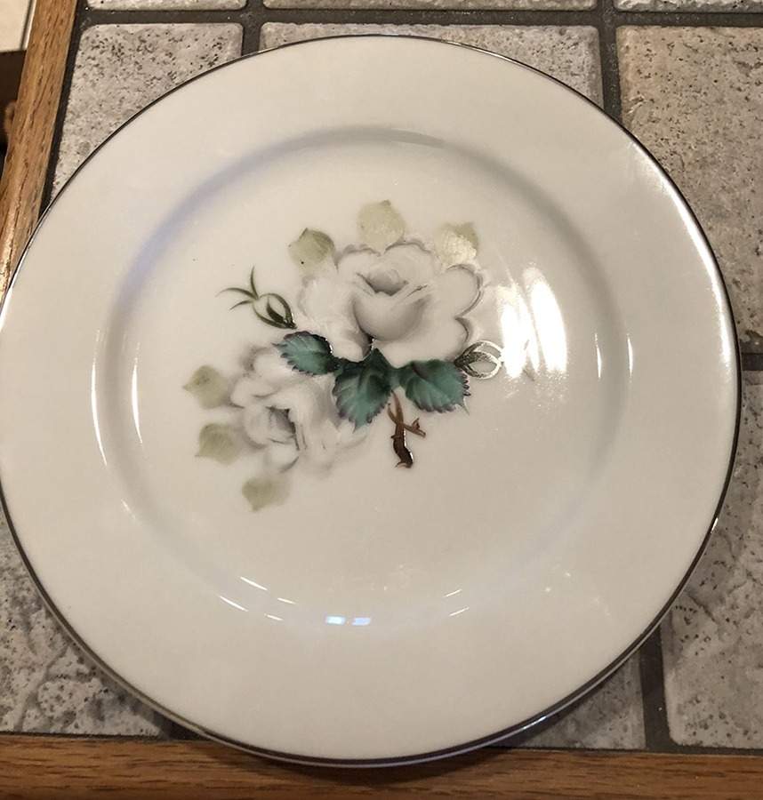 5302 Dinner Plate by Sanko-1