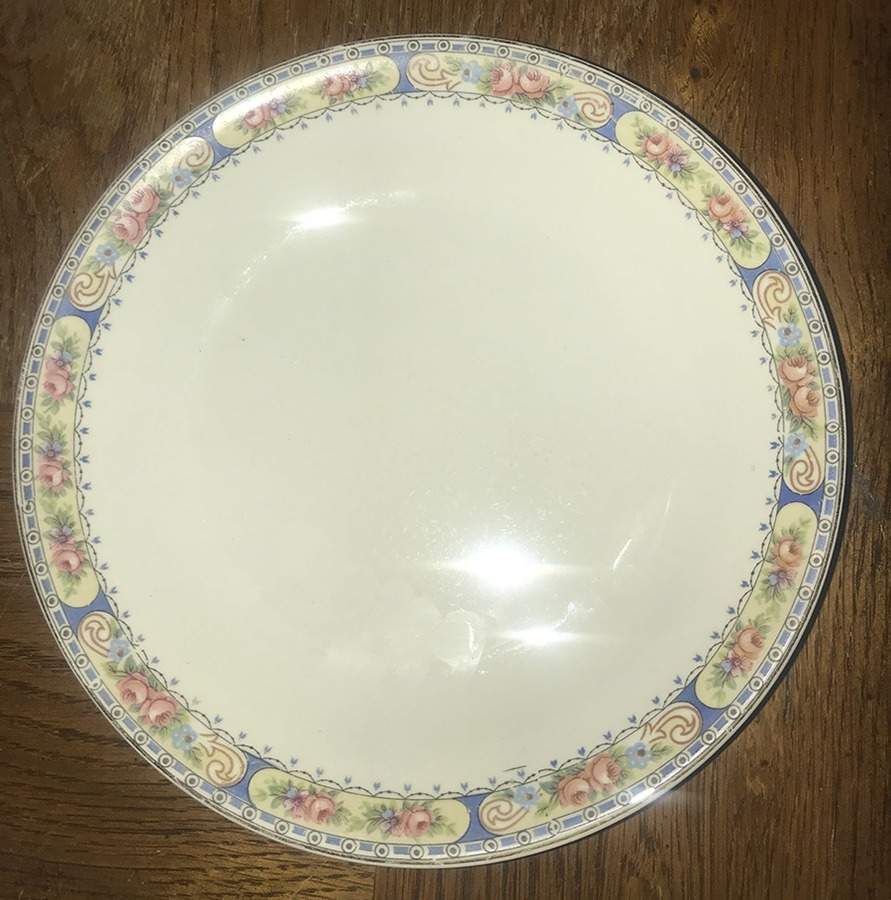 STB455 Dinner Plate by Steubenville-1