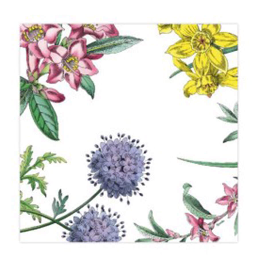 Stafford Blooms Package of Paper Luncheon Napkins by Spode-1