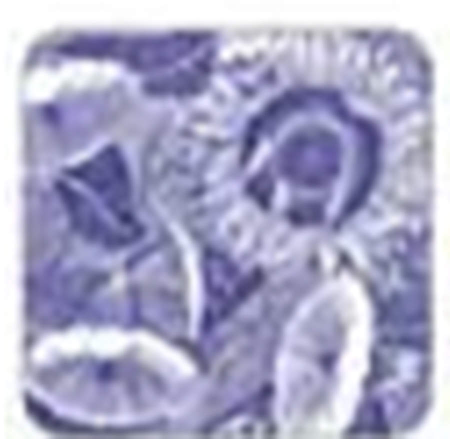 Sunflower (Blue Room Sunflower) Square Coaster by Spode-1