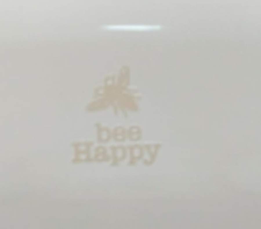 Bee (Hand Thrown) Dinner Plate by Spectrum-1