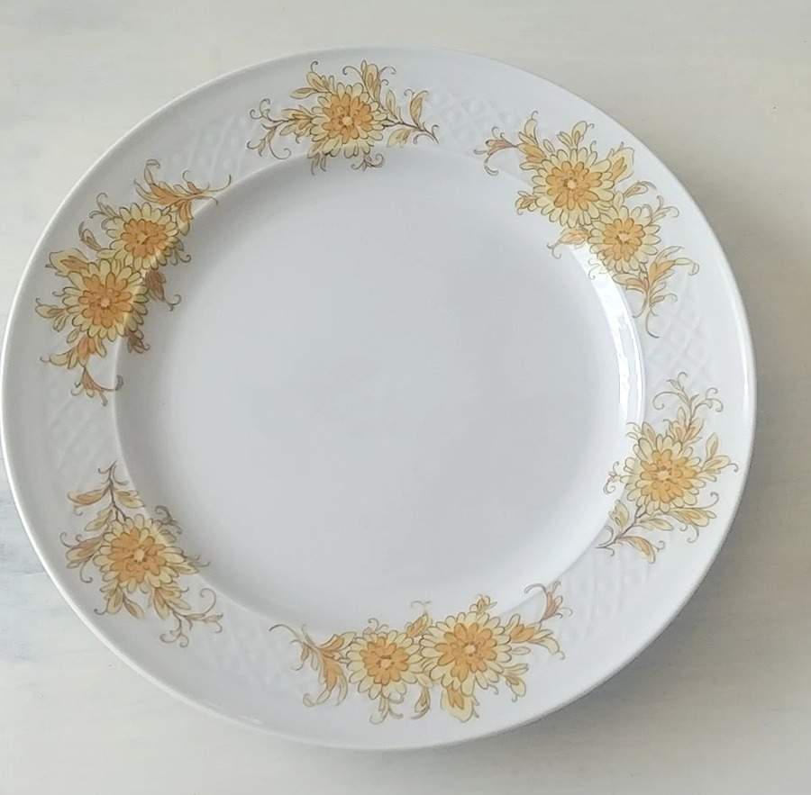 SLT535 Dinner Plate by Seltmann-1