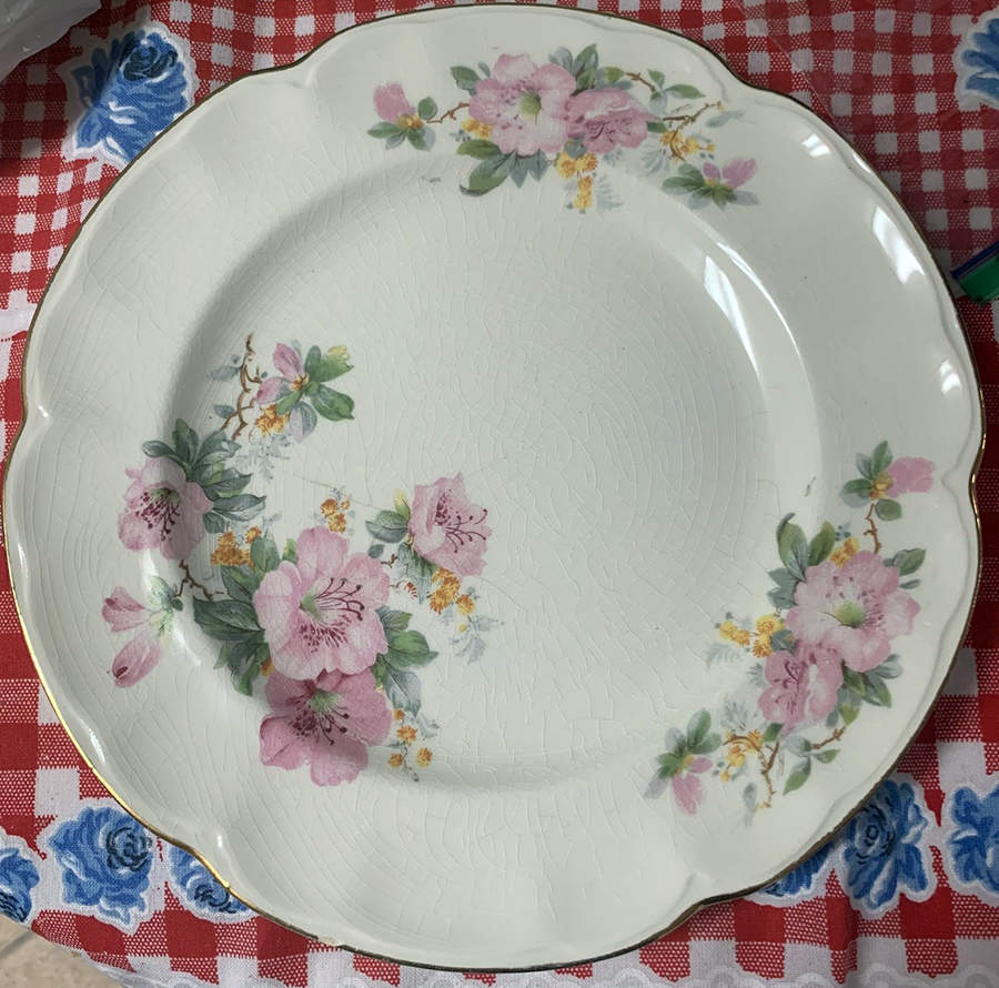 1086-51 Dinner Plate by Sovereign Potters-1