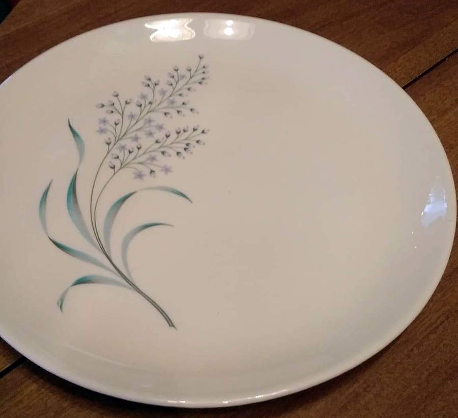 SLM447 Dinner Plate by Salem-1