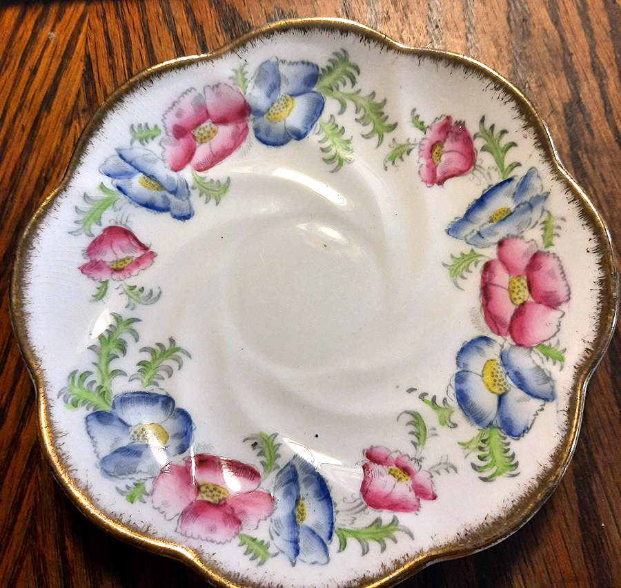 Convolvulus Pink Saucer by Salisbury-1