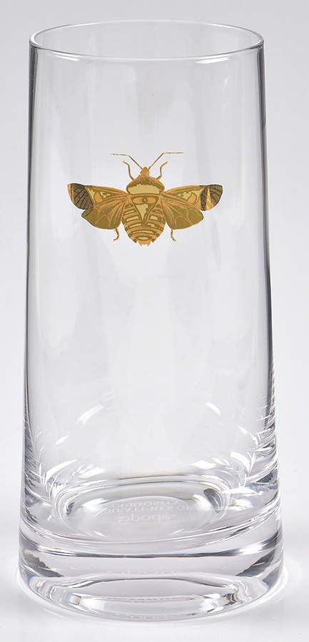 Creatures of Curiosity Glassware Highball by Spode-1