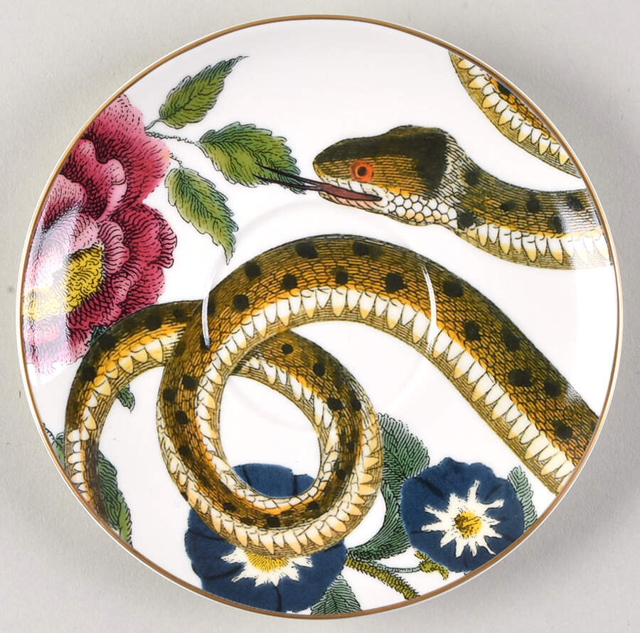 Creatures of Curiosity Saucer for Footed Cup by Spode-1