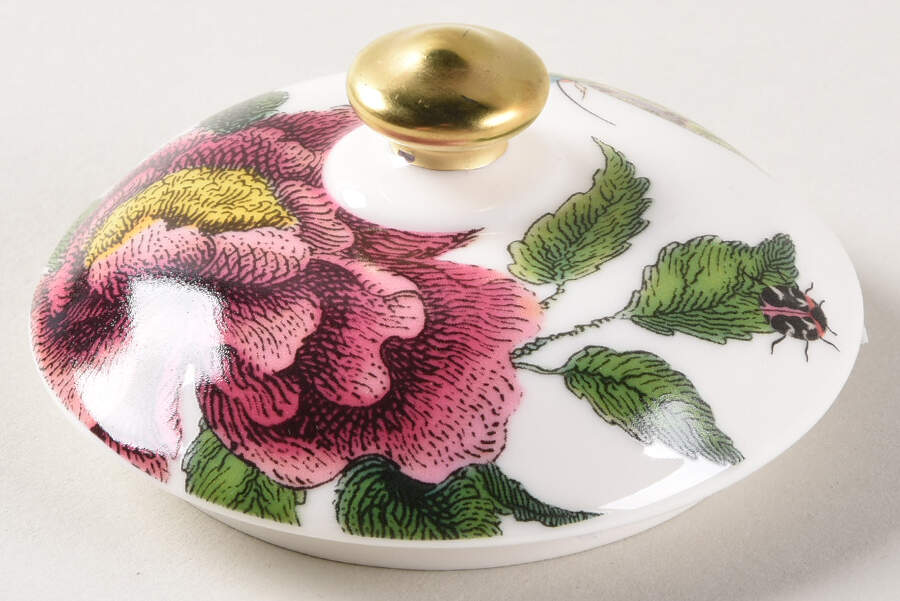 Creatures of Curiosity Lid for Sugar Bowl by Spode-1