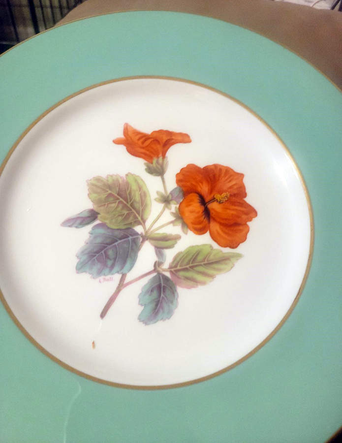 Y5435 Dinner Plate by Spode-1