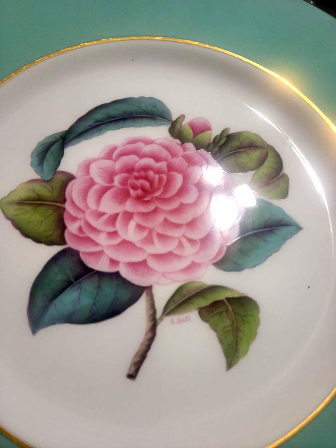 Y5435 Dinner Plate by Spode-1