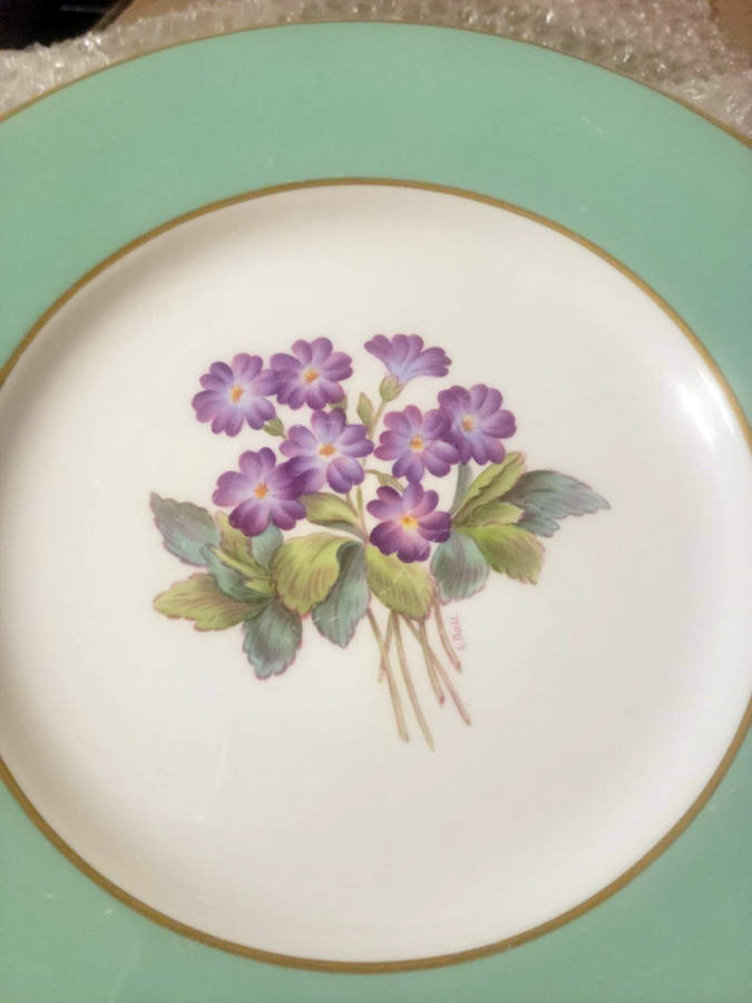 Y5435 Dinner Plate by Spode-1