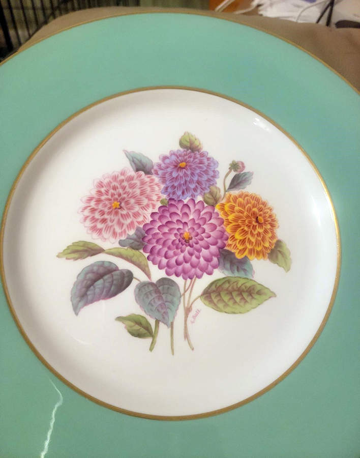 Y5435 Dinner Plate by Spode-1