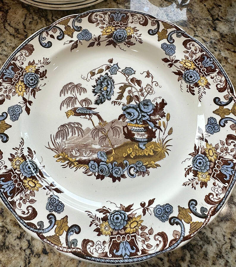 2-7638 Dinner Plate by Spode-1