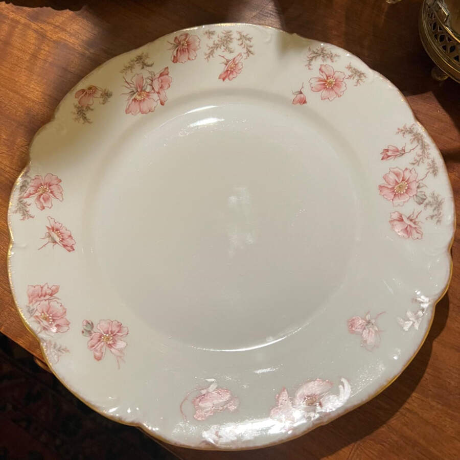SCH820 Dinner Plate by Schumann - Bavaria-1