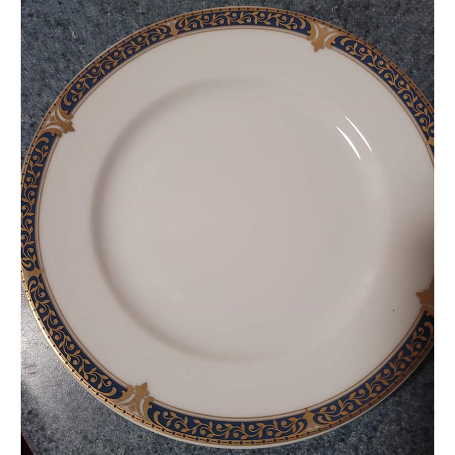 SCG156 Dinner Plate by Schirnding-1