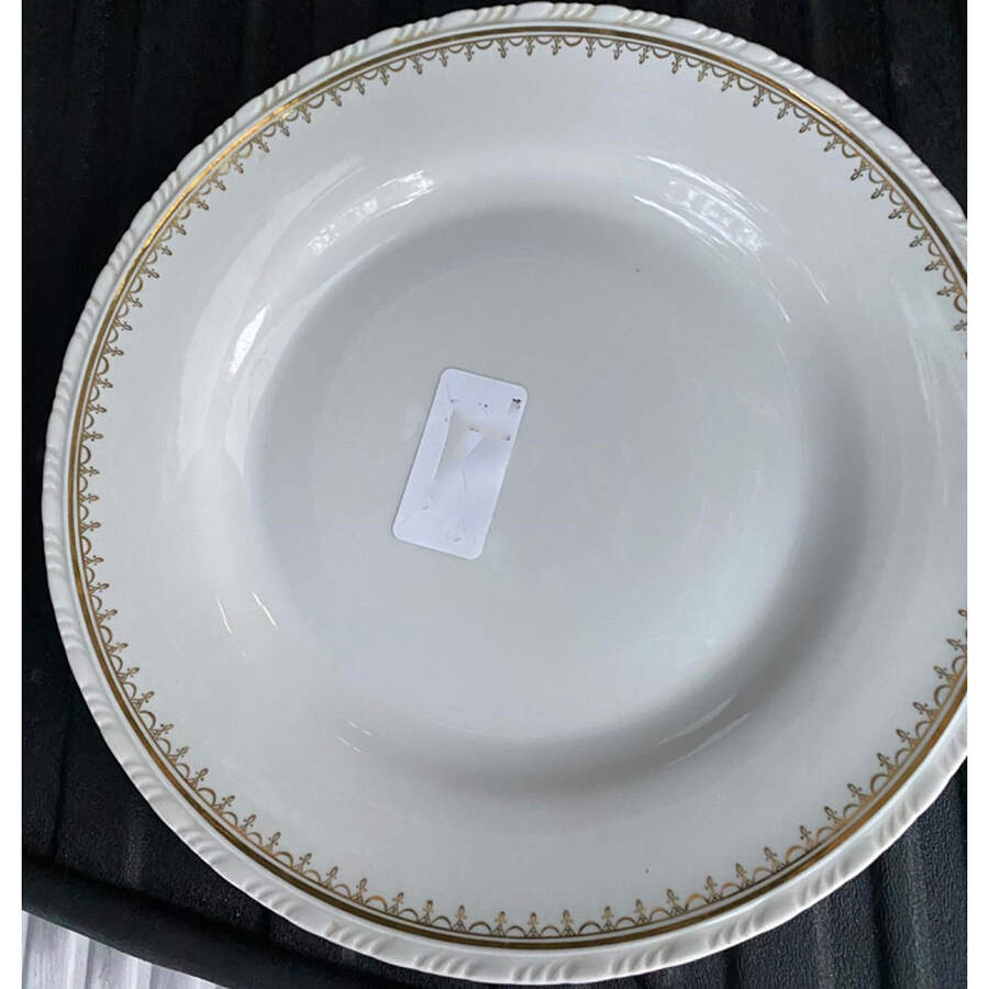 SCD169 Dinner Plate by Schonwald-1