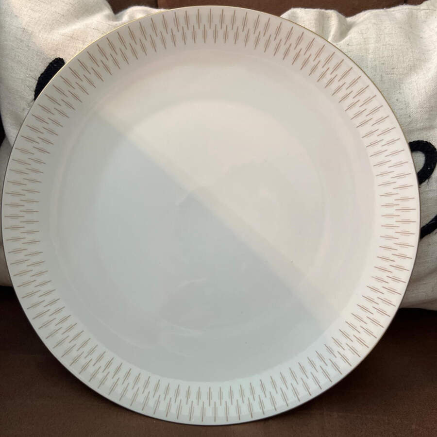 SLT547 Dinner Plate by Seltmann-1
