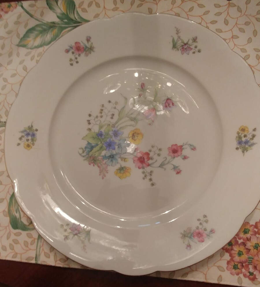 SLT550 Dinner Plate by Seltmann-1