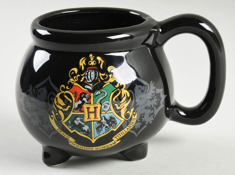 Harry Potter Mug by Silver Buffalo-1