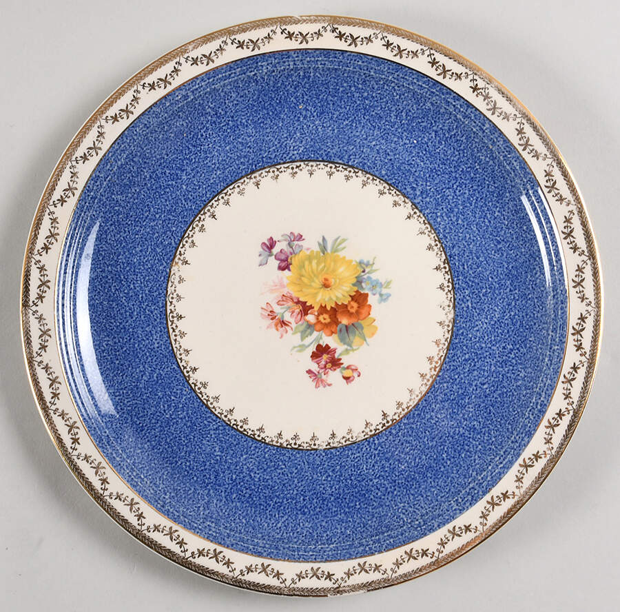STB460 Dinner Plate by Steubenville-1