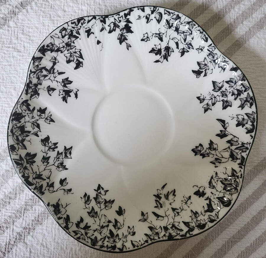 Ivy Black Saucer by Shelley-1