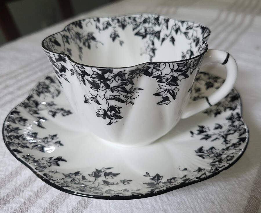 Ivy Black Flat Cup & Saucer Set by Shelley-1
