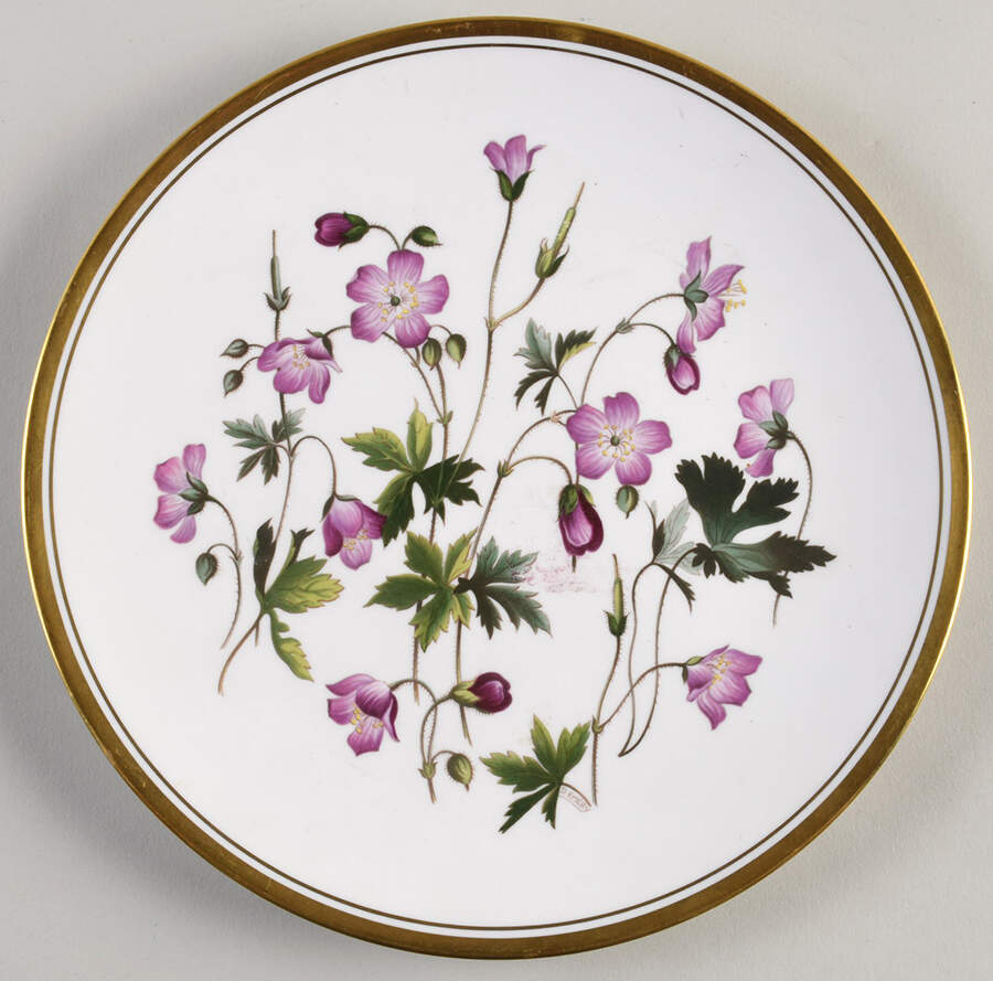 Wild Flowers Luncheon Plate by Spode-1
