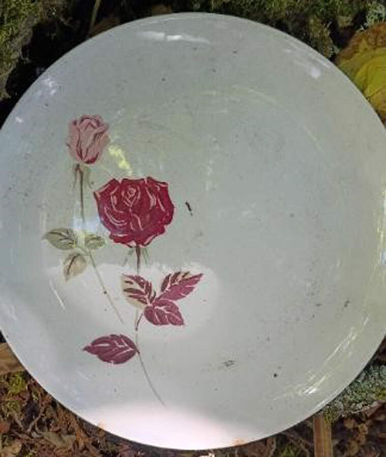 Lyric Dinner Plate by Style House-1