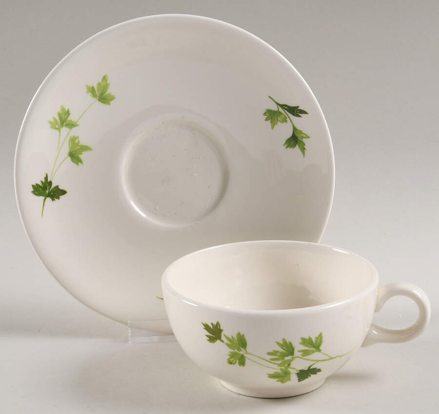Parsley Flat Cup & Saucer Set by Salem-1