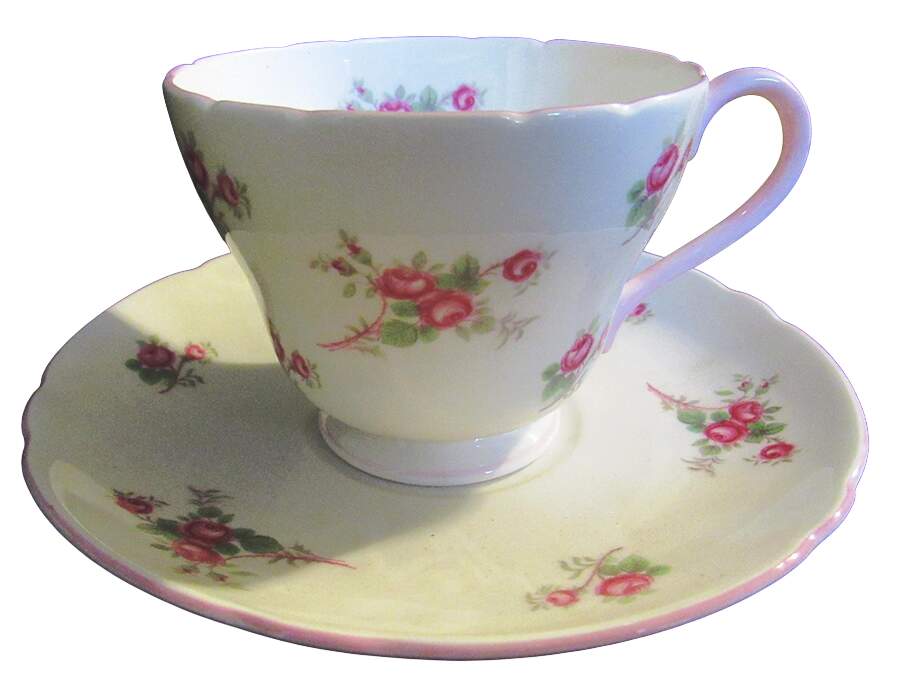Rose Spray Footed Cup & Saucer Set by Shelley-1