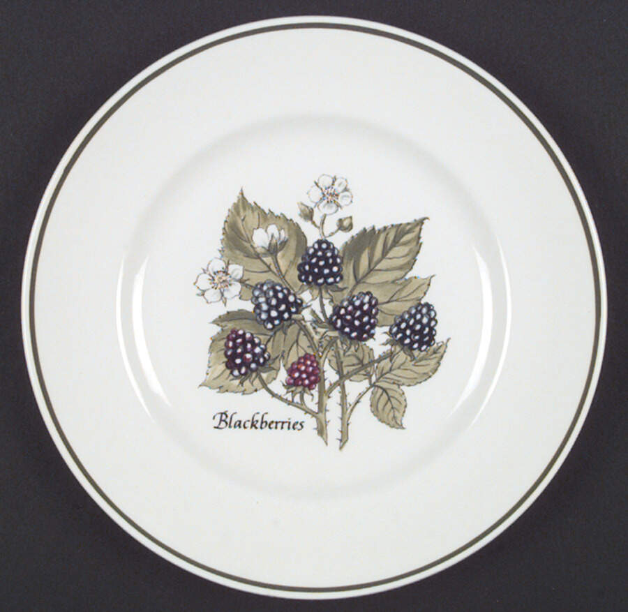 Staffordshire Gardens Salad Plate by Tiffany-1